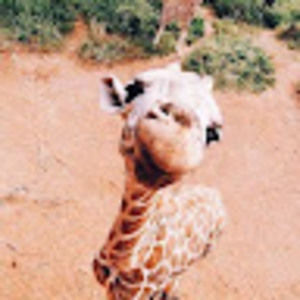 Meet your Posher, Anneke